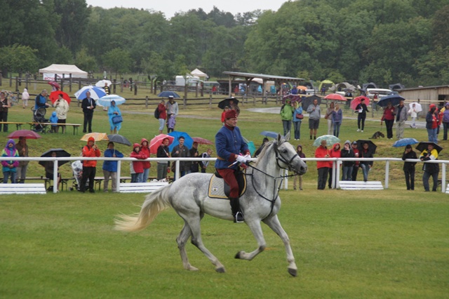 Pferdefest Schlosshof 26.8.2012 200