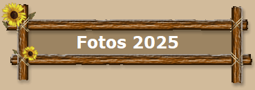 Fotos 2025