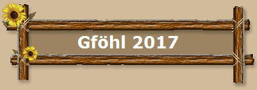 Gfhl 2017