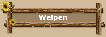 Welpen