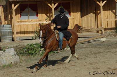 Aron und Robert