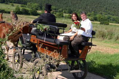 hochzeit,kutsche